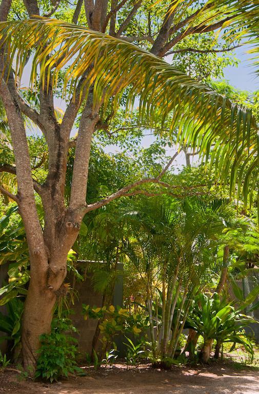 הוילה פרייבר Gardens Retreat מראה חיצוני תמונה